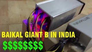 Baikal Giant B In India