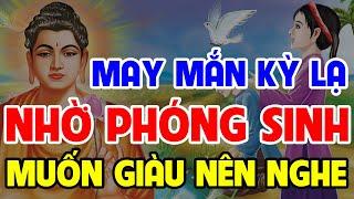 3 Chuyện Nhân Quả Phật Giáo, MAY MẮN Kỳ Lạ Nhờ PHÓNG SINH, Muốn ĐỔI ĐỜI GIẦU SANG Nên Nghe Dù 1 Lần