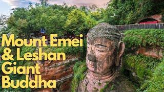 Exploring Mount Emei & Leshan Giant Buddha: China's Scenic Wonders