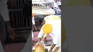 ramdevra ranuja #ramdevpir