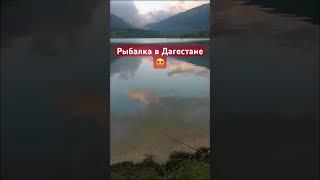 Рыбалка в Дагестане