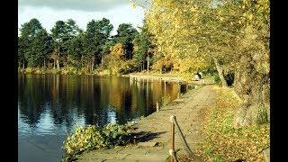 Places to see in ( Sutton Coldfield - UK )