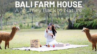 Why Bali Farm House in Bedugul is a Must-Visit for Everyone?