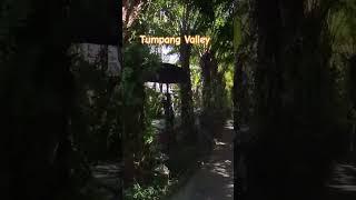 Tumpang Valley lembah tumpang #malang #localupdates