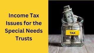 CPA Teresa Ferruzzo - Income Tax Issues for the Special Needs Trusts