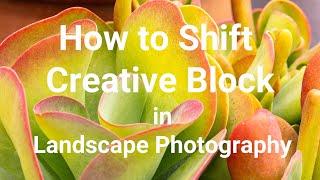 How to Overcome Creative Block in Photography (and Get Inspired Again)