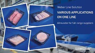 Flexible Weber Line Solution for various Applications | weSLICE 4500, SmartPicker, wePACK 7000