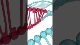 Understanding Progeria: The Rapid Aging Syndrome #healthawareness #medicine #publichealth