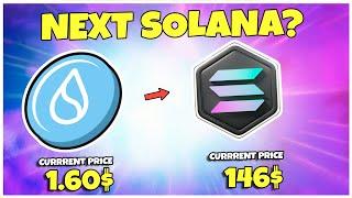 Can Sui Be the Solana of 2025? Here’s How Much You Can Earn! (EXPOSED)