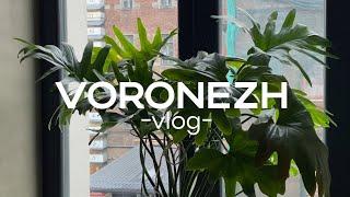 Voronezh-vlog