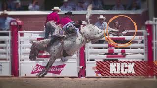 Calgary Stampede Rodeo 101: Bareback