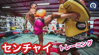 The present of a man called the god of Muay Thai! Saenchai training