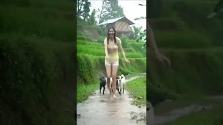 #timelapse star to finish alone blind log cabin wooden house how to build wooden cabin surviva
