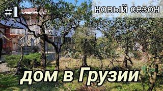 #1Дом в Грузии. Новый сезон