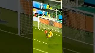 Ronaldo free kick against Liechtenstein