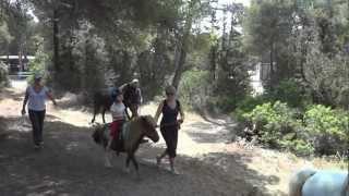 Waldlauf mit Pony bei 29Grad LaPineda 2012