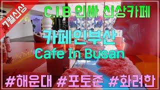 [4K] 해운대 인싸는 꼭 간다는 신상카페, 카페인부산(Cafe In Busan : CIB) 카페투어 후기