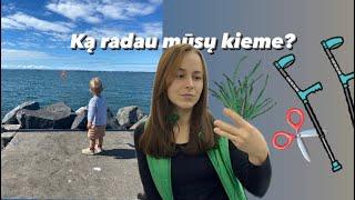 Diena/os su manimi! Ką radau kieme?