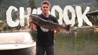 BC salmon // Lil Shuswap Chinook