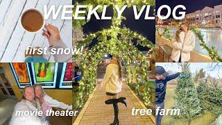 WEEKLY VLOG: seeing Wicked, holiday work party, going to a Christmas market + getting our tree!