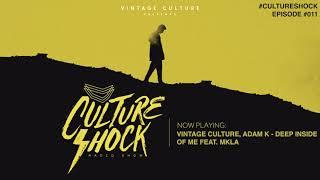 Vintage Culture - Culture Shock #011