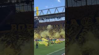 Borussia Dortmund - Eintracht Frankfurt | CHOREO / PYRO der Dortmunder! #BVBSGE 24.08.24