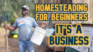 Homesteading for Beginners | It's A Business