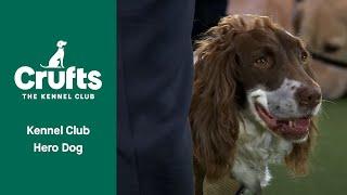 The Kennel Club Hero Dog | ​Crufts 2022