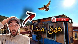 طلقت الزغليل جداد واااااالحفيض الله ️