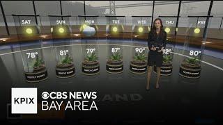 First Alert Weather Saturday morning forecast 6-14-25