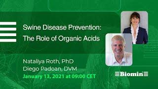 Swine Disease Prevention - The Role of Organic Acids