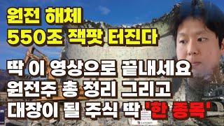 [주식] 원전 550조 잭팟 터진다 딱 이영상으로 끝내세요 원전주 총 정리 그리고 대장이 될 주식 딱 '한 종목'[원전해체대장주,아주IB투자,오르비텍,우진엔텍,우진,로봇,빅텍스]