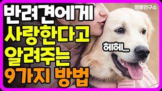 반려견을 사랑한다면 꼭 보세요! 강아지에게 사랑한다고 알려주는 9가지 방법 | 강아지 행동 표현 | 강아지 애정 표현 | 강아지 사랑 표현, 강아지 행동 언어 |