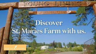 Discover the St. Maries Farm | Young Living Essential Oils