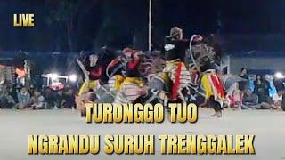 LIVE JARANAN DOR BALAI DESA NGRANDU TRENGGALEK || TURONGGO TUO NGRANDU SURUH