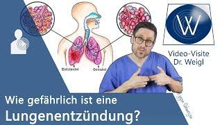 Lungenentzündung: Wie gefährlich ist die Pneumonie? Hygiene & Prophylaxe sowie Symptome & Therapie