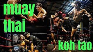 Muay Thai Fight Monsoon Gym Koh Tao