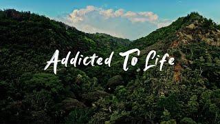 Kolohe Kai - Addicted to Life (Official Music Video)