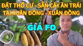 BÁN ĐẤT THỔ CƯ DIÊN KHÁNH GIÁ RẺ|| NHÀ ĐẤT KHÁNH HÒA GIÁ F0