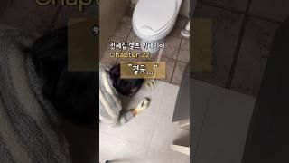 건식화장실 만들기 데코타일깔기 데코타일 재단방법 #셀프인테리어 #diy #makeover