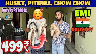 Cheapest Dogs Market In Delhi NCR | German Shepherd, Retriever, Pitbull | Dogs in 999* ​⁠