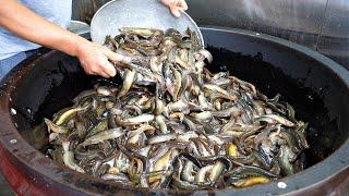 1000인분! 엄청난 양을 끓이는 역대급 미꾸라지 추어탕집 /  Boiled mud-fishSoup " Chueotang " / Korean street food