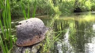 История реки Волоста