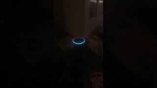 Alexa sucks