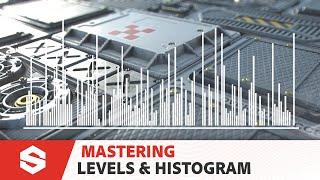 Substance: Mastering Levels & Histogram | Adobe Substance 3D