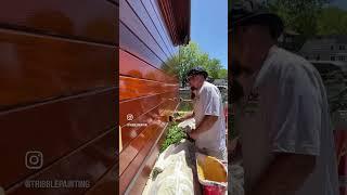 Applying a fresh coat!