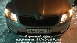 SKODA Octavia A7 скрытые функции, которые можно активировать за 1 час!