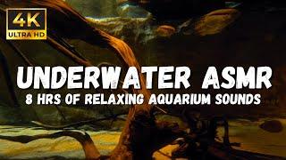 4K Underwater ASMR Sounds: Immersive 4k Asmr Underwater Soundscape