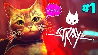 *NEW* Stray  - Ep 1 (cats make the best main characters)