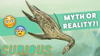 Curious: The Search for Answers - Loch Ness Monster Exploration